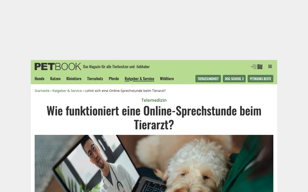 PETBOOK: Lohnt sich eine Online-Sprechstunde beim Tierarzt?